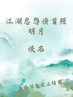 江湖恩怨俯首照明月