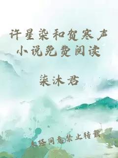 许星染和贺寒声小说免费阅读